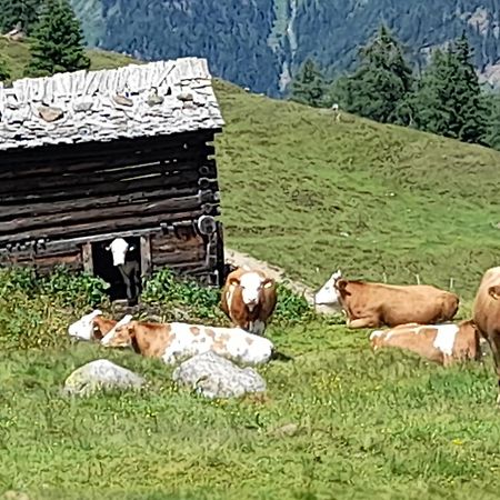 Ferienhaus Grofn Matrei in Osttirol Εξωτερικό φωτογραφία