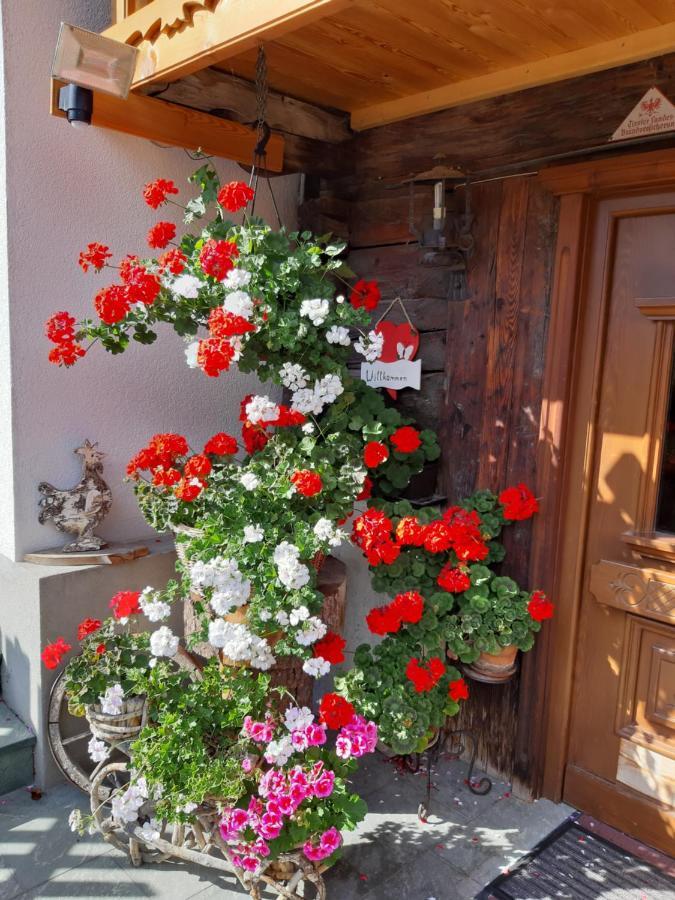 Ferienhaus Grofn Matrei in Osttirol Εξωτερικό φωτογραφία