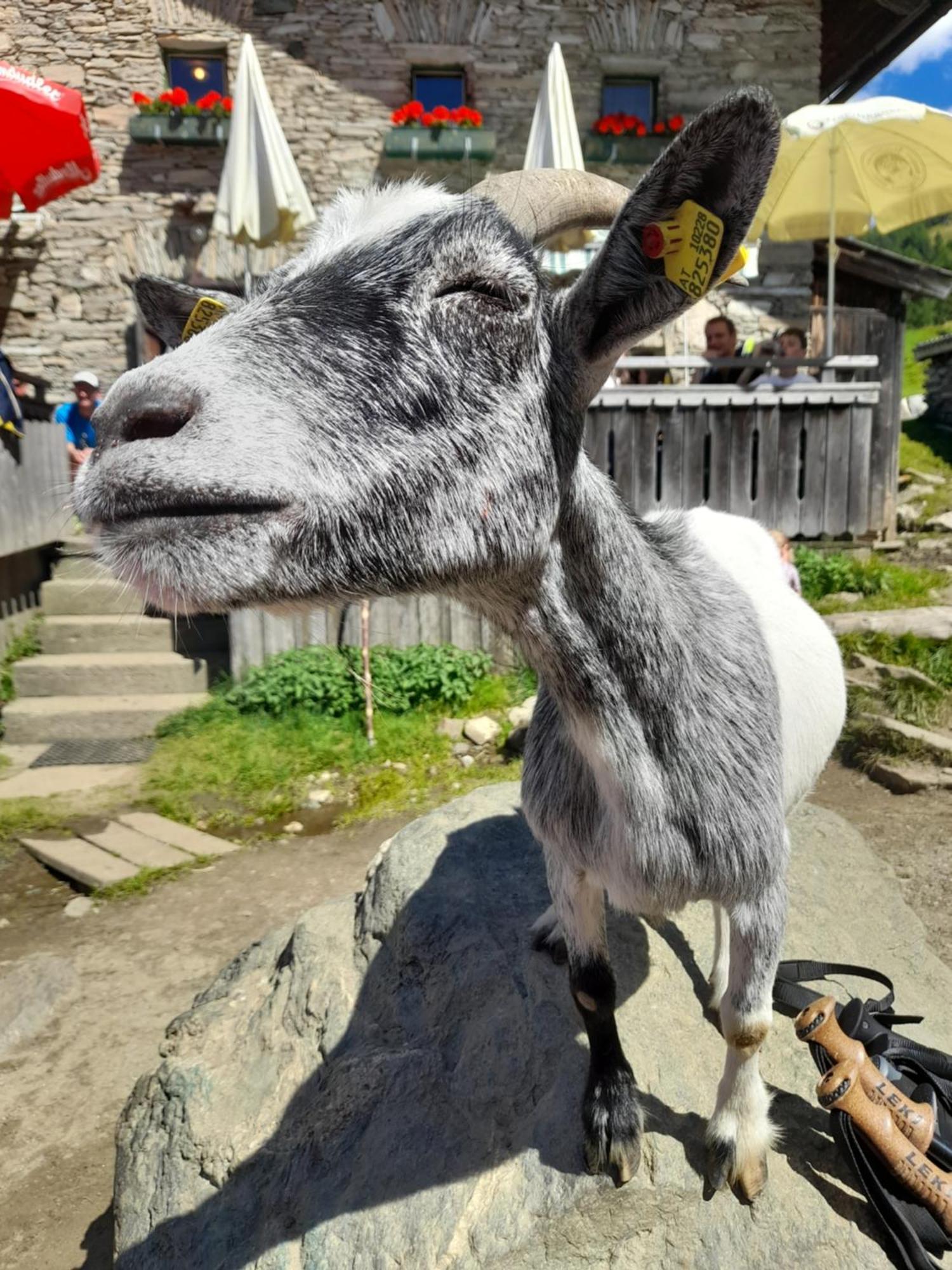 Ferienhaus Grofn Matrei in Osttirol Εξωτερικό φωτογραφία