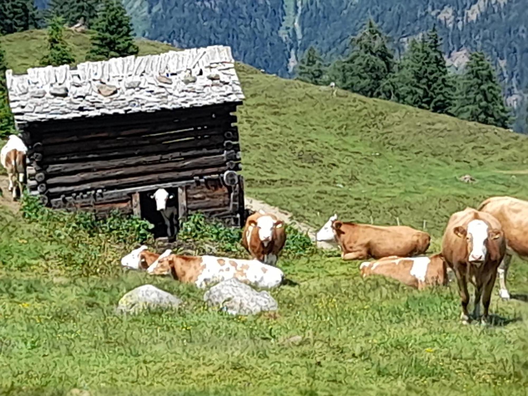 Ferienhaus Grofn Matrei in Osttirol Εξωτερικό φωτογραφία